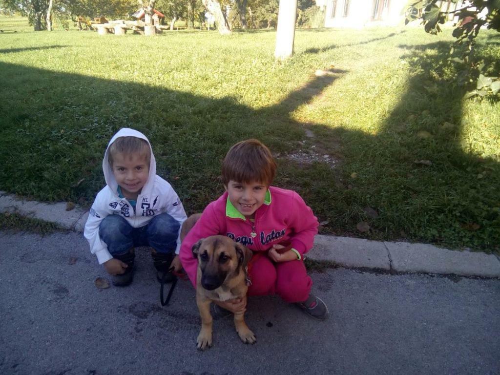 Janezinovi House Guest House Ratecevo Brdo Bagian luar foto